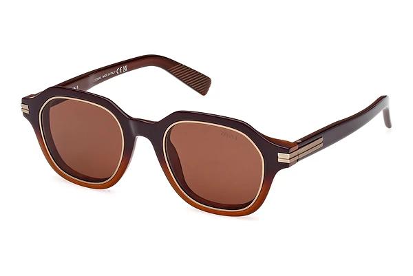 Solbriller Zegna EZ0250 50E