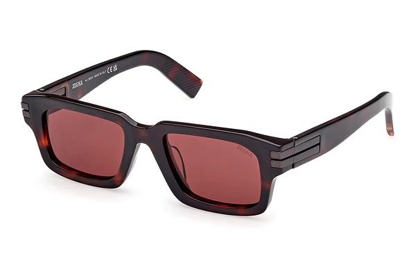 Solbriller Zegna EZ0255 54S