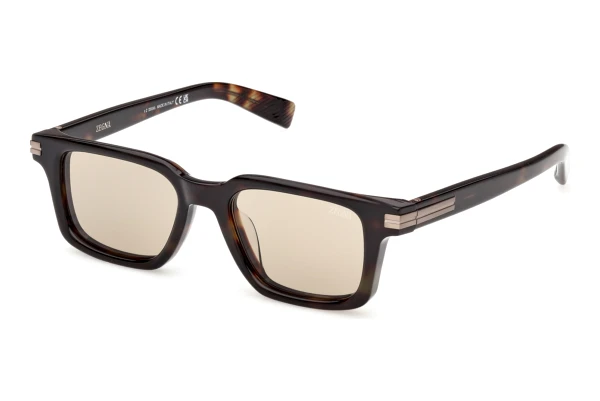 Solbriller Zegna EZ0280 52E